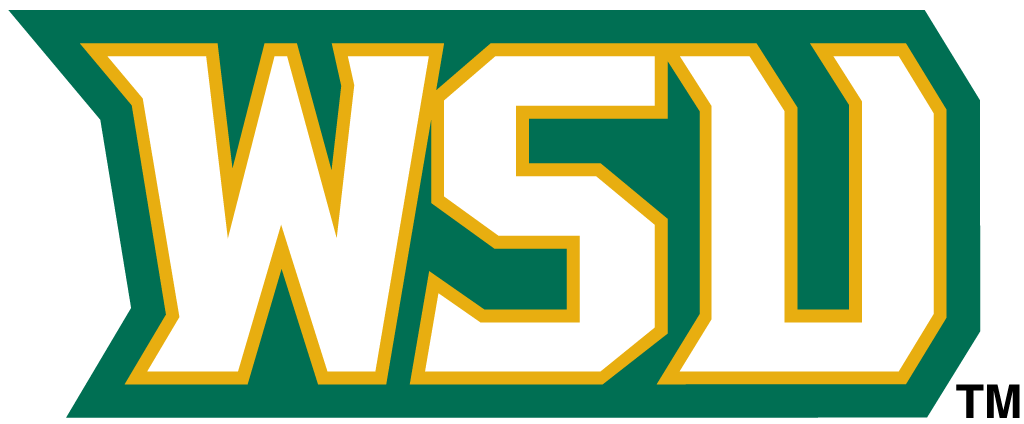 Wright State Raiders 2001-Pres Wordmark Logo v4 iron on transfers for T-shirts